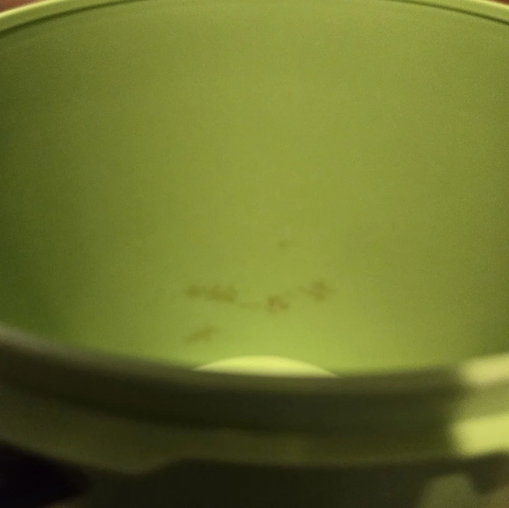Tupperware Green Cannister Set 3 Pieces with Lids